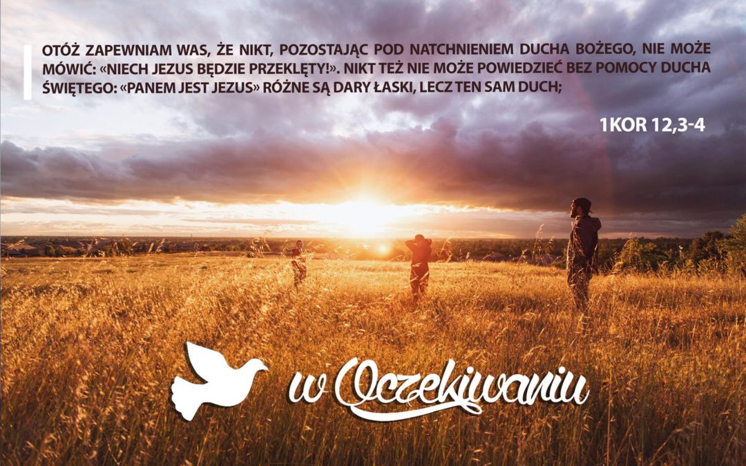 W oczekiwaniu /dzień 6/