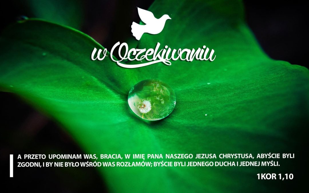 W oczekiwaniu /dzień 7/