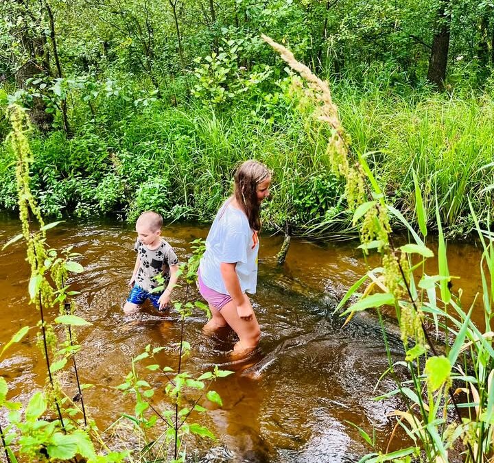 Szukanie skarbów w lesie 
to w…